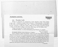 Puccinia lolii image